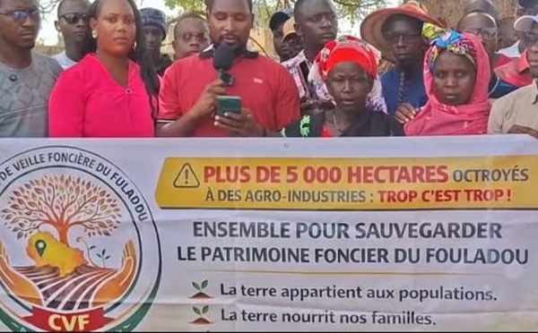 Vélingara : le Comité de veille foncière du Fouladou s'oppose à l'attribution de terres à un projet agro-industriel