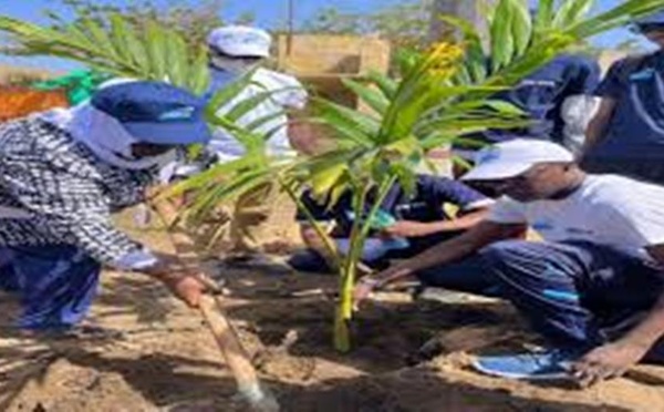 Journée mondiale de l’environnement : l’Alliance des écologistes du Sénégal appelle à une mobilisation accrue pour le climat