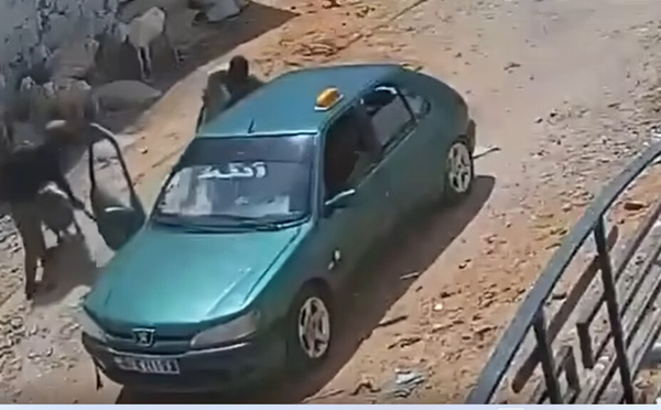 Vol de deux brebis : le Commissariat de Ndamatou interpelle deux membres d’une bande circulant en Peugeot 306 