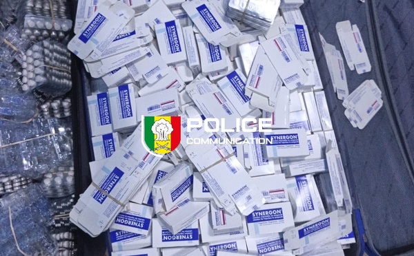 ​Kédougou : des médicaments de contrebande d'une valeur de plus de 6 millions FCFA saisis, un individu interpellé