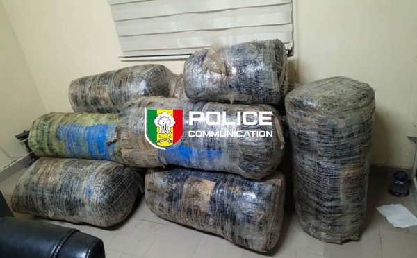 Guéréo : près de 245 kg de chanvre indien saisis par la Police