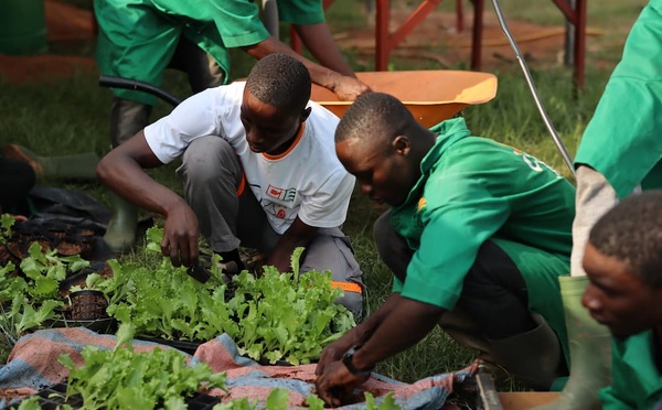 Matam : l’agronome Pape Samba Sow préconise l'engrais organique pour booster l'agroécologie