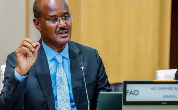 SOFI 2026 : le Sénégal réaffirme ses ambitions de souveraineté alimentaire à Rome