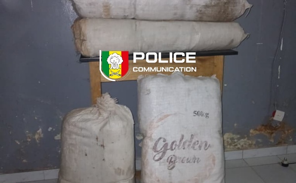 Drogue : la BRS démantèle un vaste réseau à Dakar, six interpellations et saisie d'une importante quantité d'ecstasy 