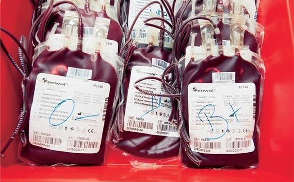 Urgent/pénurie de sang : seulement 13 poches disponibles pour les urgences(L'ANDOBES)