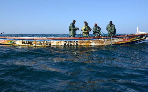 Casamance : huit disparus et un rescapé dans le chavirement d’une pirogue de pêcheurs
