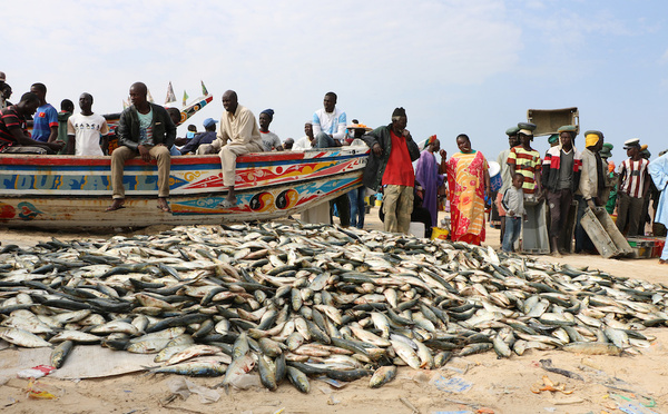 ​Dakar: un pêcheur de Yoff porté disparu après de  violents vents