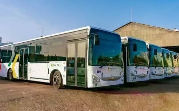 Gamou 2026 : Dakar Dem Dikk mobilise près de 300 bus et transporte 20 000 pèlerins