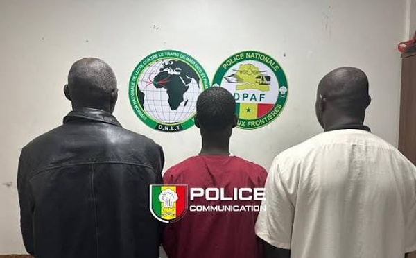 Kaolack : la Police nationale interpelle 230 personnes dont 27 ont été déférés et saisit près d'un million FCFA d'amendes