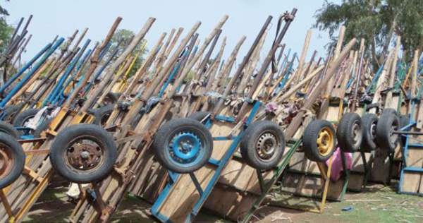​Kolda-Coupe abusive de bois : 1003 charrettes remplies de troncs d’arbres saisies en 6 mois