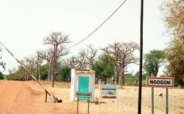 Développement local à Ngogom : Mbaye Diouf pointe du doigt le manque de projets d'envergure et d'aménagement du territoire