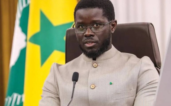 Installation du Conseil consultatif des jeunes : "Bassirou Diomaye Faye présidera la cérémonie le 29 septembre"