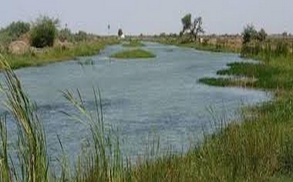 Réserve de biosphère du Delta du Sénégal : un plan de 8,5 milliards FCFA a été présenté à Saint-Louis