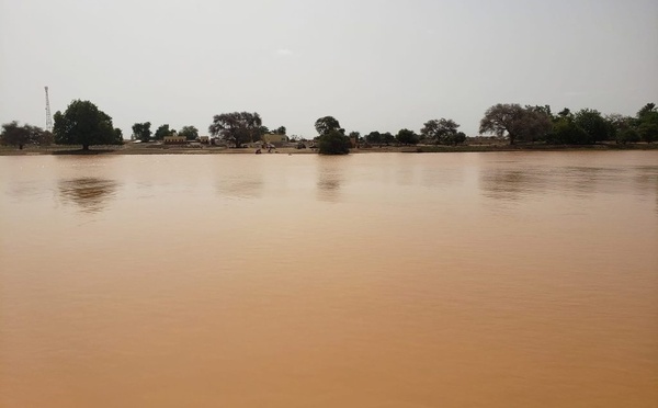 Alerte hydrologique à Podor : le plan d’eau a grimpé de 4 centimètres en 24 heures