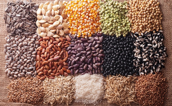 ​Sécurité alimentaire : l'UA appelle à transformer les systèmes semenciers face aux crises climatiques