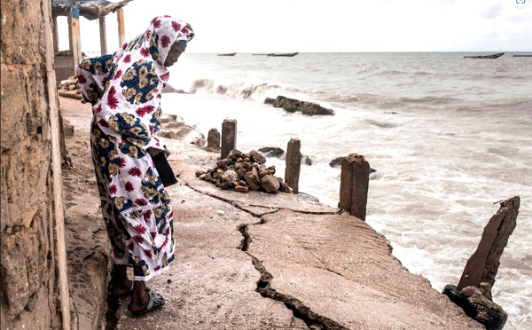 Changement climatique : Podor, Sédhiou et Kolda, nouveaux refuges face aux risques littoraux, selon des chercheurs