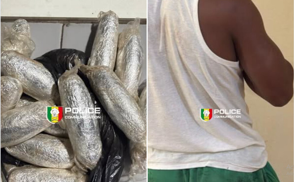 Trafic de cocaïne à la Médina : 225 grammes saisis, un individu interpellé et conduit au parquet 