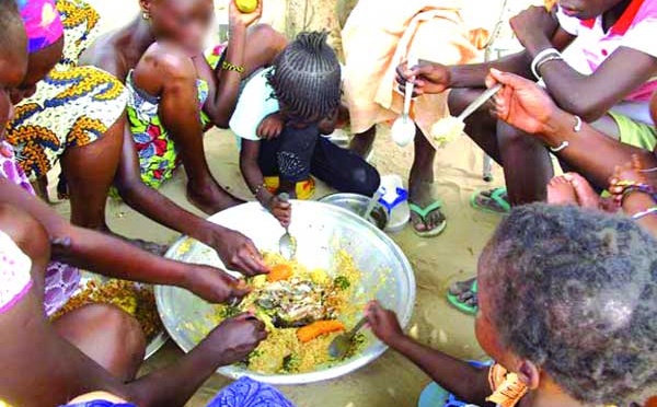 Sécurité alimentaire : l'Union européenne réaffirme son engagement aux côtés du Sénégal face aux crises mondiales