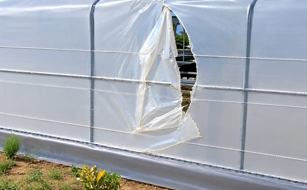 Kolda : le dispositif de séchage solaire du hub de transformation des produits locaux vandalisé