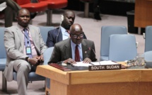 Soudan du Sud: l'ONU autorise l'envoi de 4 000 casques bleus supplémentaires