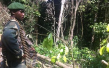 RDC: dans le camp Garlic, une des places fortes des ADF