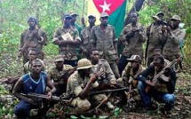 Bayanka - Bounkiling: le MFDC enlève puis libère des topographes et villageois