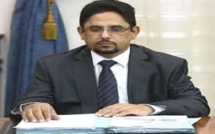 «Il y a bel et bien accord de sortie de crise en Gambie» (Ministre mauritanien)