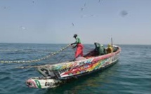 Licence de pêche : les autorités mauritaniennes vont ouvir leurs eaux  Sénégalais