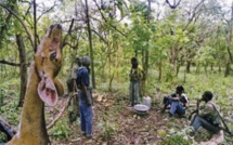 La Casamance vers une paix définitive : Le MFDC dépose les armes