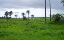 Israël investit en Casamance dans l’agro-industrie, le solaire et la chimie.