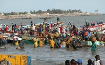 La Banque mondiale et le Fonds mondiale pour l’environnement soutiennent la sauvegarde des ressources halieutiques