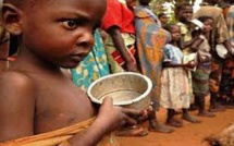 Malnutrition en Afrique de l'Ouest: 159 enfants en retard de croissance - «Le Sénégalais mange mal», (Docteur)