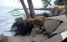 Protection de l’environnement: OVSEO auditionne les leaders politiques du pouvoir et de l’opposition, ce jeudi