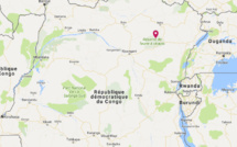 RDC: ce que l’on sait de la violente attaque de gardes d’une réserve de l’Ituri