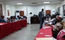 Pires formes de travail des enfants : le Sénégal veut éradiquer le phénomène