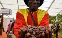 Côte d'ivoire : des chocolateries en milieu rural