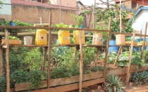 Madagascar: l'agriculture urbaine pour nourrir les habitants d'Antananarivo?