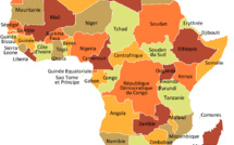 "Chronique Afrique Debout": « A quoi servent les bases militaires françaises en Afrique? (2ème partie) »