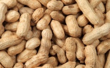 ​Suspension de la taxe à l’exportation sur l’arachide, (Communiqué)