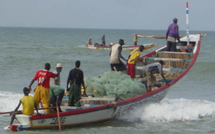 Sénéal: Le REPAO veut sortir la pêche de la crise.