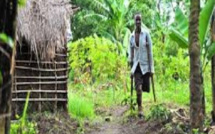 72 heures de Djirack : Après l'atrocité du conflit casamançais, les habitants revivent enfin