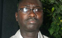 Coupe de bois en Casamance : le ministre de la Justice promet de corser les sanctions