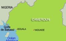 Cameroun: Sept Chinois enlevés au large de la péninsule de Bakassi