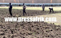 (Photos) 16 Millions de FCFA pour la réfection de la pelouse du stade Léopold Sédar Senghor.