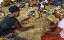 Côte d’Ivoire : pourquoi le café est-il bloqué ?