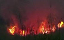 Vidéo - La mer prend feu en Indonésie... Regardez !!!