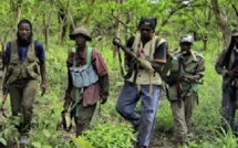 Conflits en Casamance : la jonction entre Jungullars de Yaya Jammeh et MFDC inquiète
