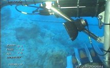 Dossier Licom - Lumière sur la cession de la quatrième licence