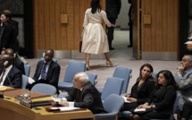 Onu : l'ambassadrice des Usa quitte la salle au moment de l'intervention du représentant palestinien