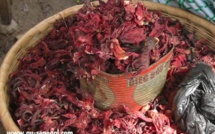 ​Le jus de bissap : une boisson recommandée pour le ramadan